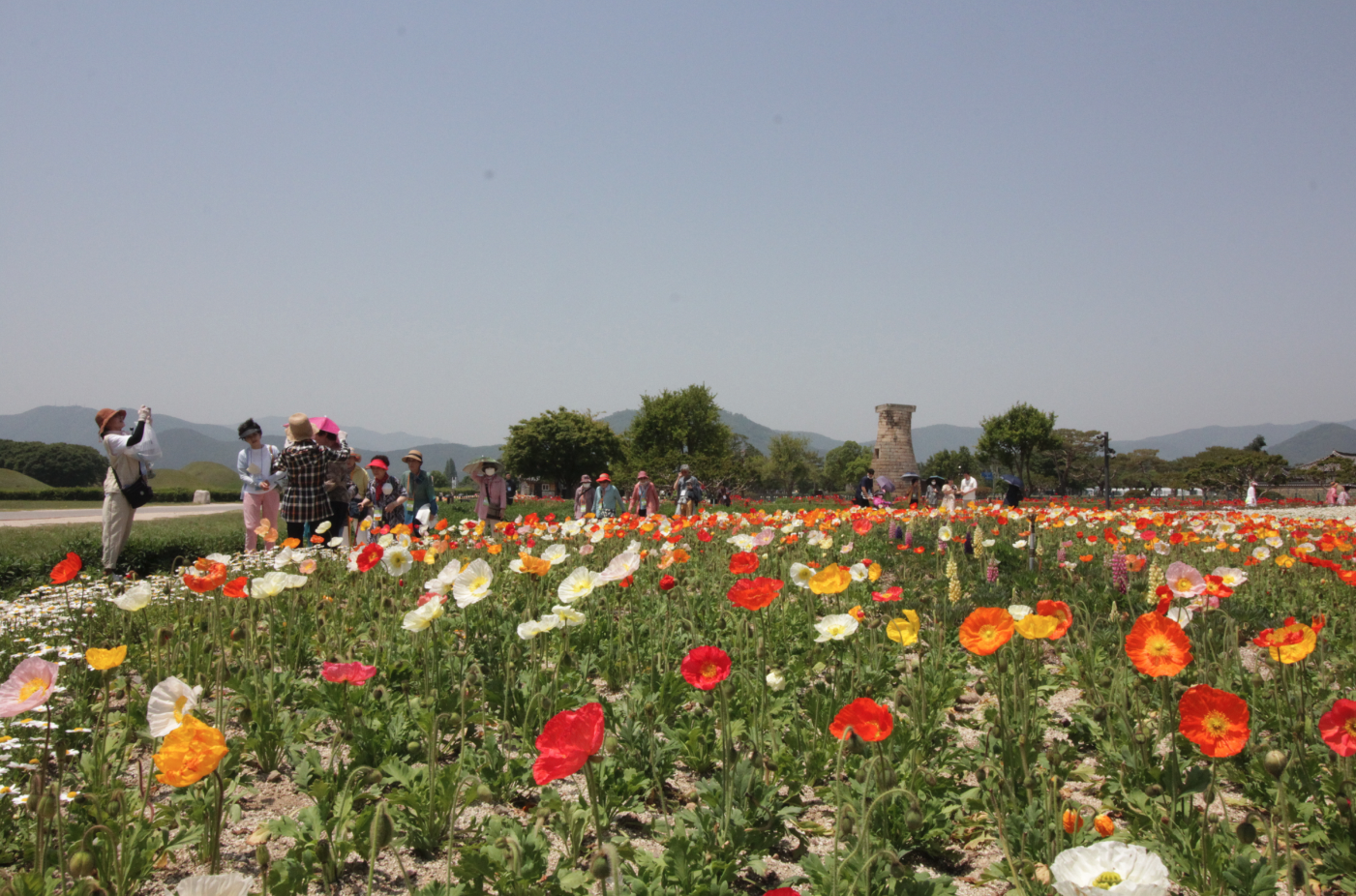 스크린샷 2023-06-10 오전 11.34.20.png